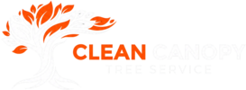 Clean Canopy Tree Service