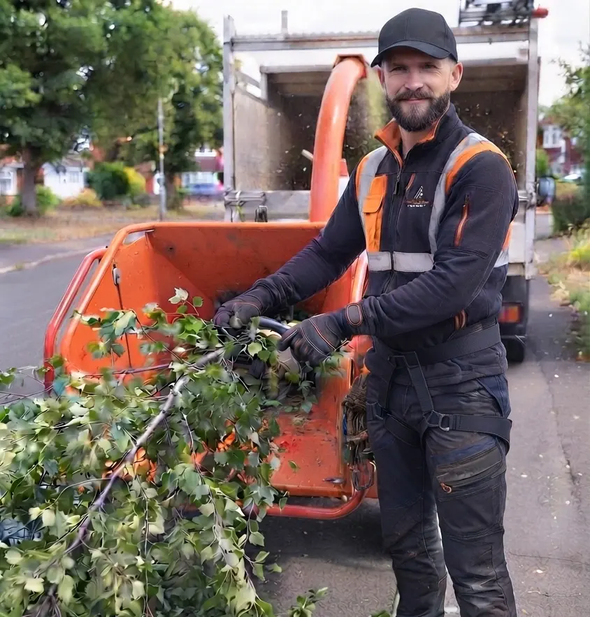 Tree Cutting